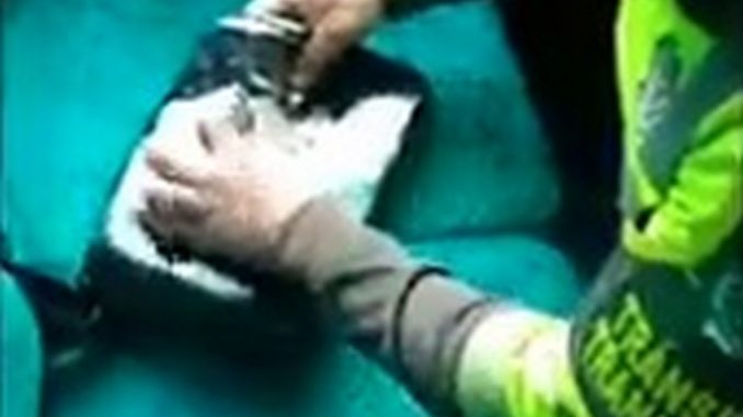droga las naranjas capturados carcel
