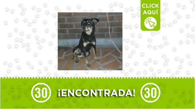 Bello-encontrada Bello-encontrada