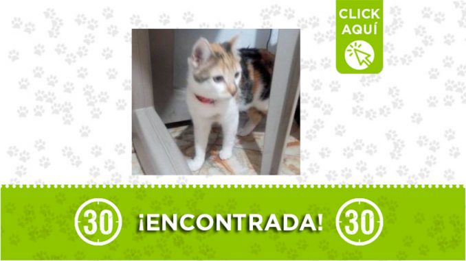 Bello-encontrada Bello-encontrada