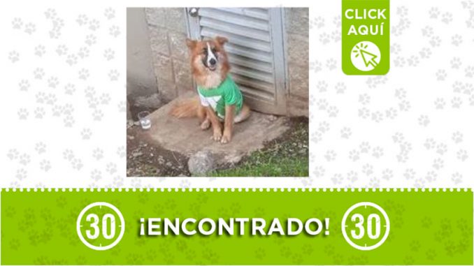 Bello- encontrado Bello- encontrado