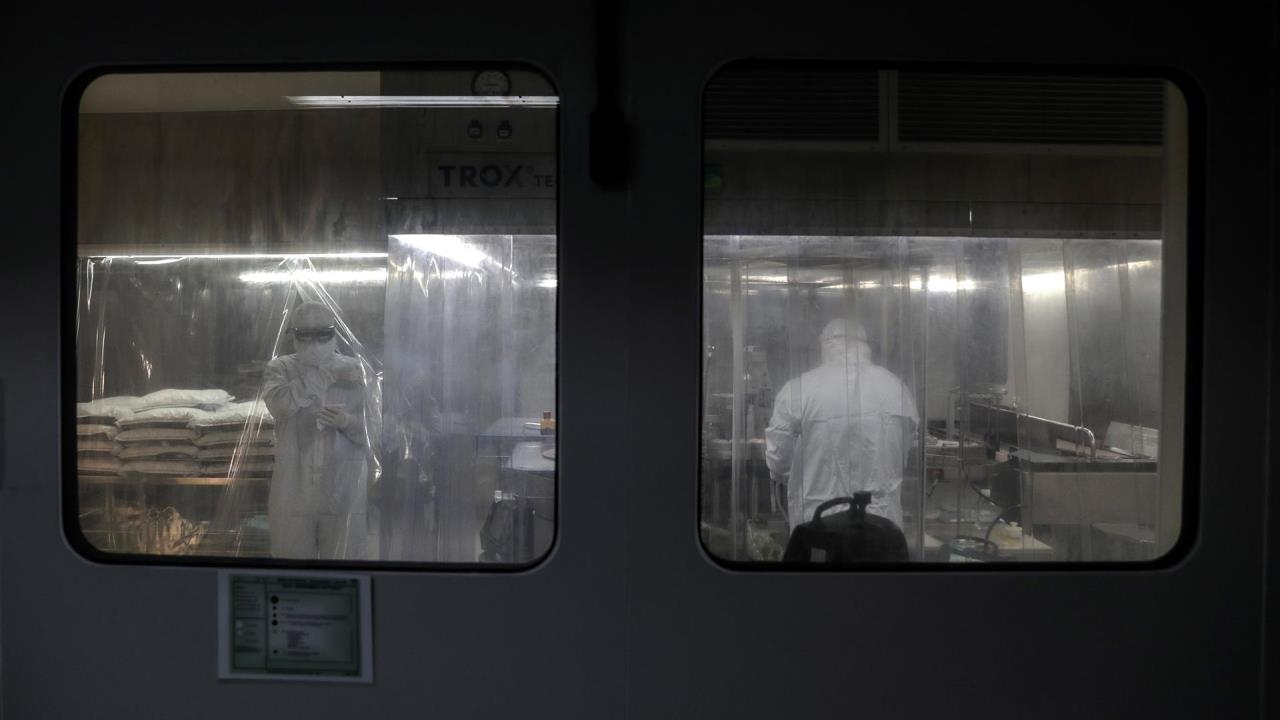 estudios leucemia aguda