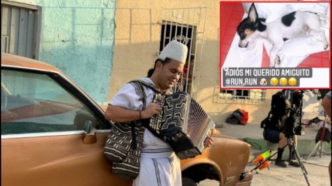 fallecio-la-mascota-del-rey-vallenato