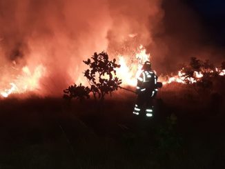 Ideam advierte sobre riesgo de incendios en el país con el inicio de la temporada seca 1 incendios