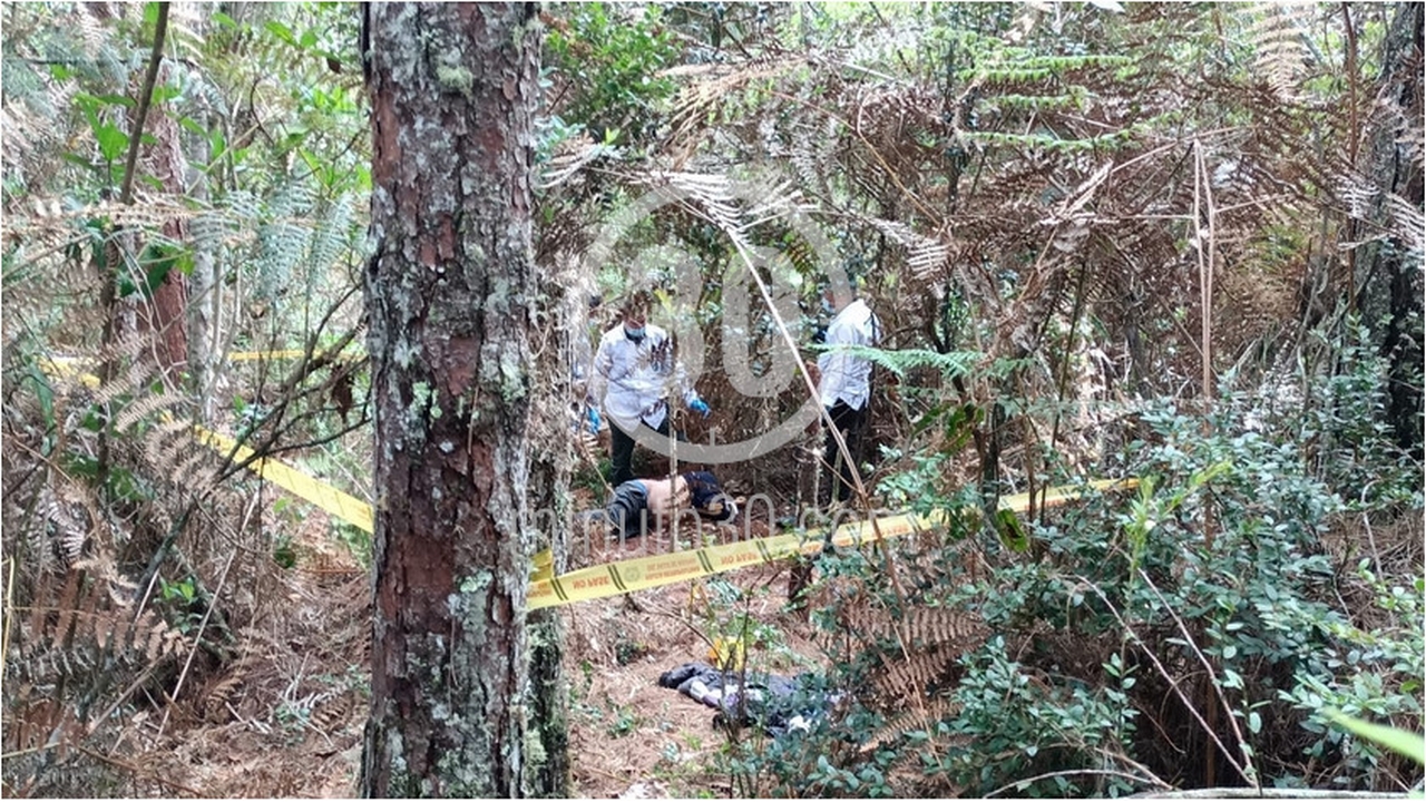 EN FOTOS: Hallan el cuerpo de un hombre en zona boscosa Santa Elena, estaba amarrado con el cordón de sus zapatos 1 Santa Elena