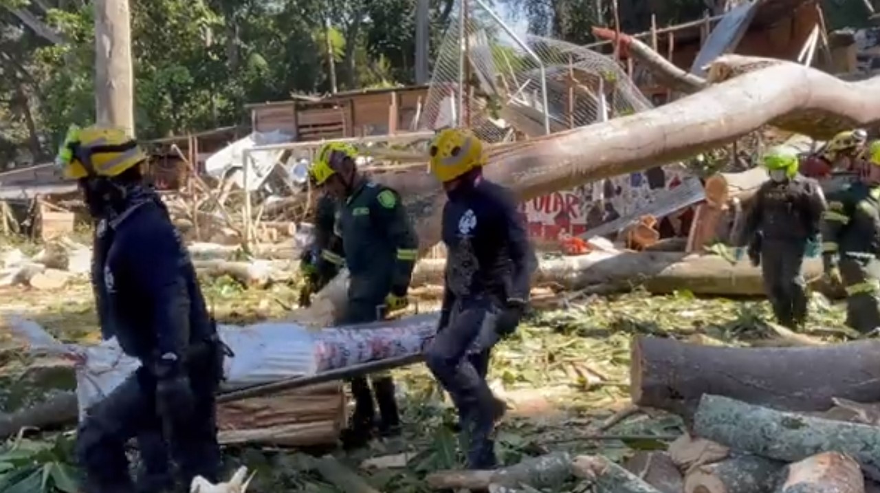 Víctimas de caída de árbol en Bucaramanga eran venezolanos