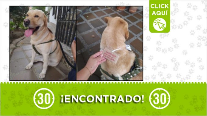perroencontrado Cabañas