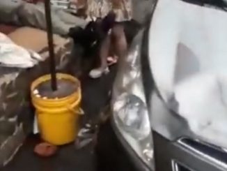 ¡Sí estaba con 'tragos'! Policía que arrolló a 5 personas en Santander fue retirado de su cargo 1 Policía que arrolló a 5 en Santander sí estaba alcoholizado
