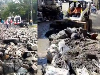 ¡Qué tristeza! Cuatro animalitos han muerto en la emergencia de Robledo por lluvias 1 Cuatro animalitos han muerto en la emergencia de Robledo