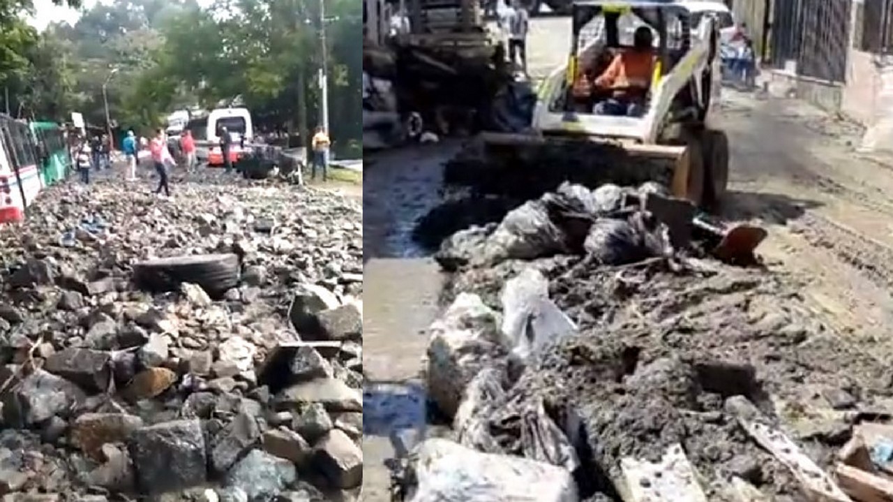 Cuatro animalitos han muerto en la emergencia de Robledo