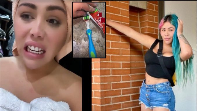 yina calderon cepillo crema animales