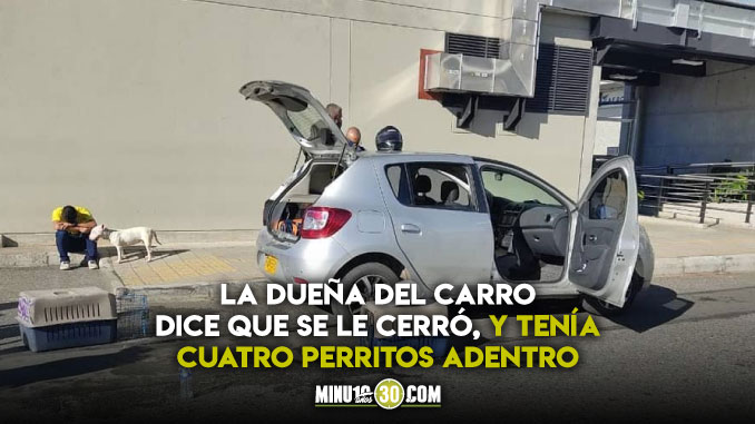 Foto: ¡Qué tristeza! Denuncian que dos perritos murieron asfixiados dentro de un carro en Rionegro 1 Que tristeza Denuncian que dos perritos murieron asfixiados dentro de un carro en Rionegro