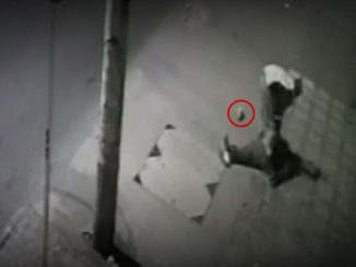 Video: ¡Qué ira! Ladrón golpeó con una piedra a un hombre, le robó y lo dejó inconsciente 1 Ladrón atacó con una piedra a un hombre en Bosa