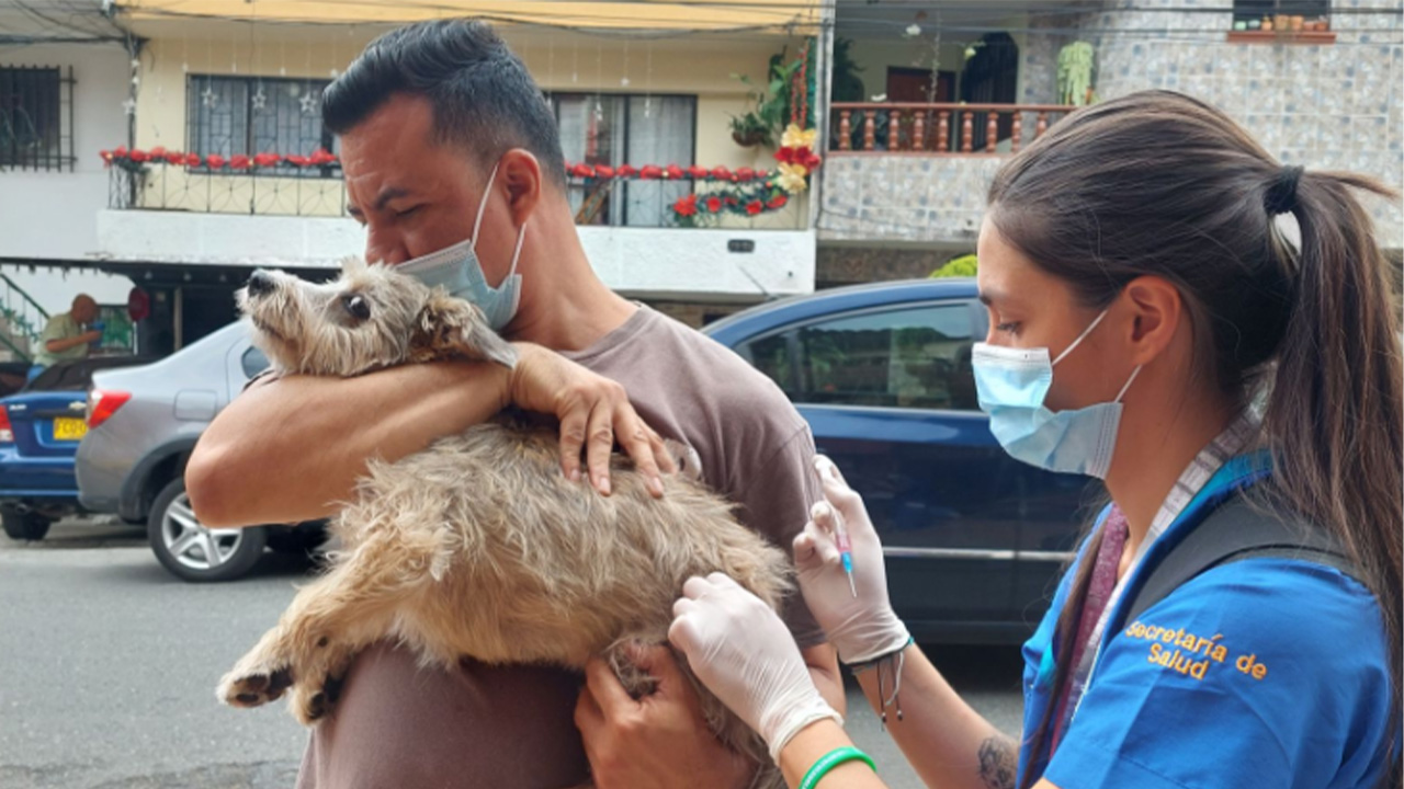 vacunación contra la rabia Medellín