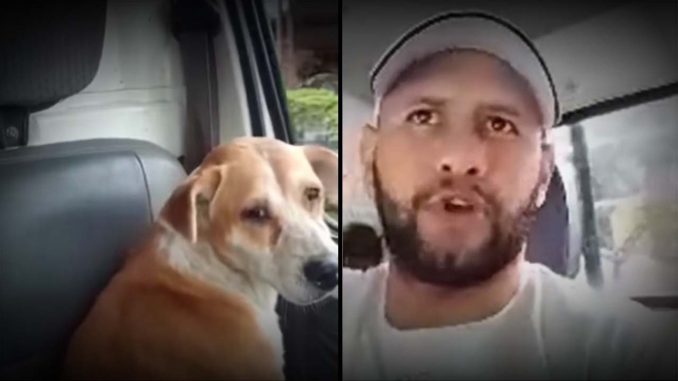 VIDEO Ojalá les caiga toda la ruina Hombre a conductor que abandonó a un perrito en la carretera hombre