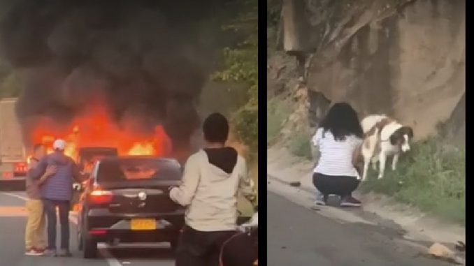 Carro en el que iba una pareja con su mascota se incendió en la vía Girardot-Bogotá Carro en el que iba una pareja con su mascota se incendió en la vía Girardot-Bogotá