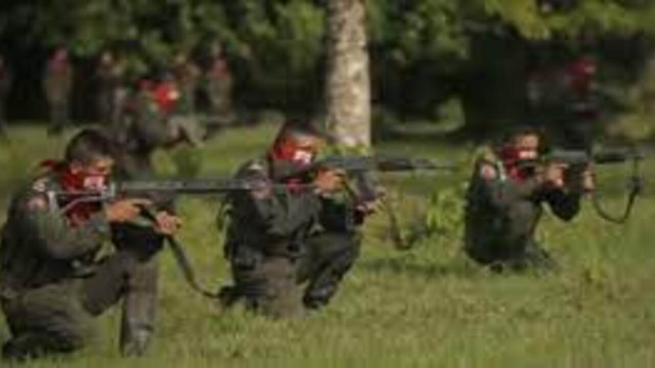 eln - Arauca - paro armado