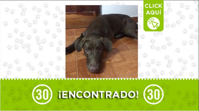 encon2 Ganado
