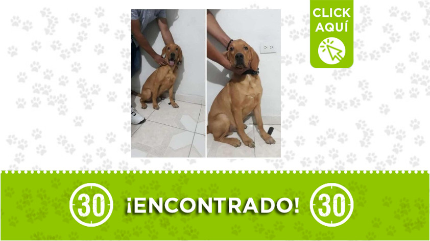 Campo Valdés-encontrado