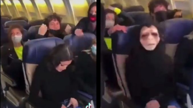 mujer mascara de mono avion sin tapabocas