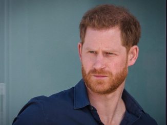 ¡Qué tampoco puede pagarla de su bolsillo! El príncipe Enrique descontento porque no puede tener escoltas 1 principe harry