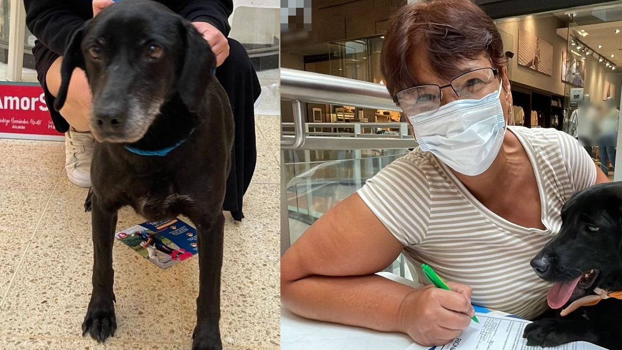 Durante 6 años, Cócora estuvo esperando a una familia que le brindara mucho amor