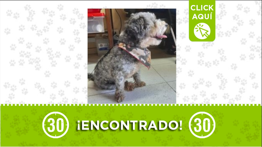 Central Mayorista de Antioquia