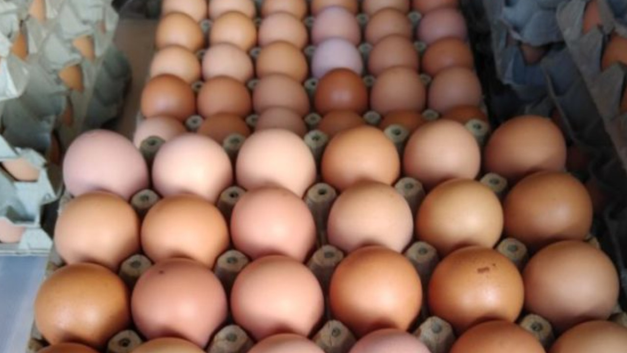 Alertan por robo de cargamento de huevo líquido pasteurizado