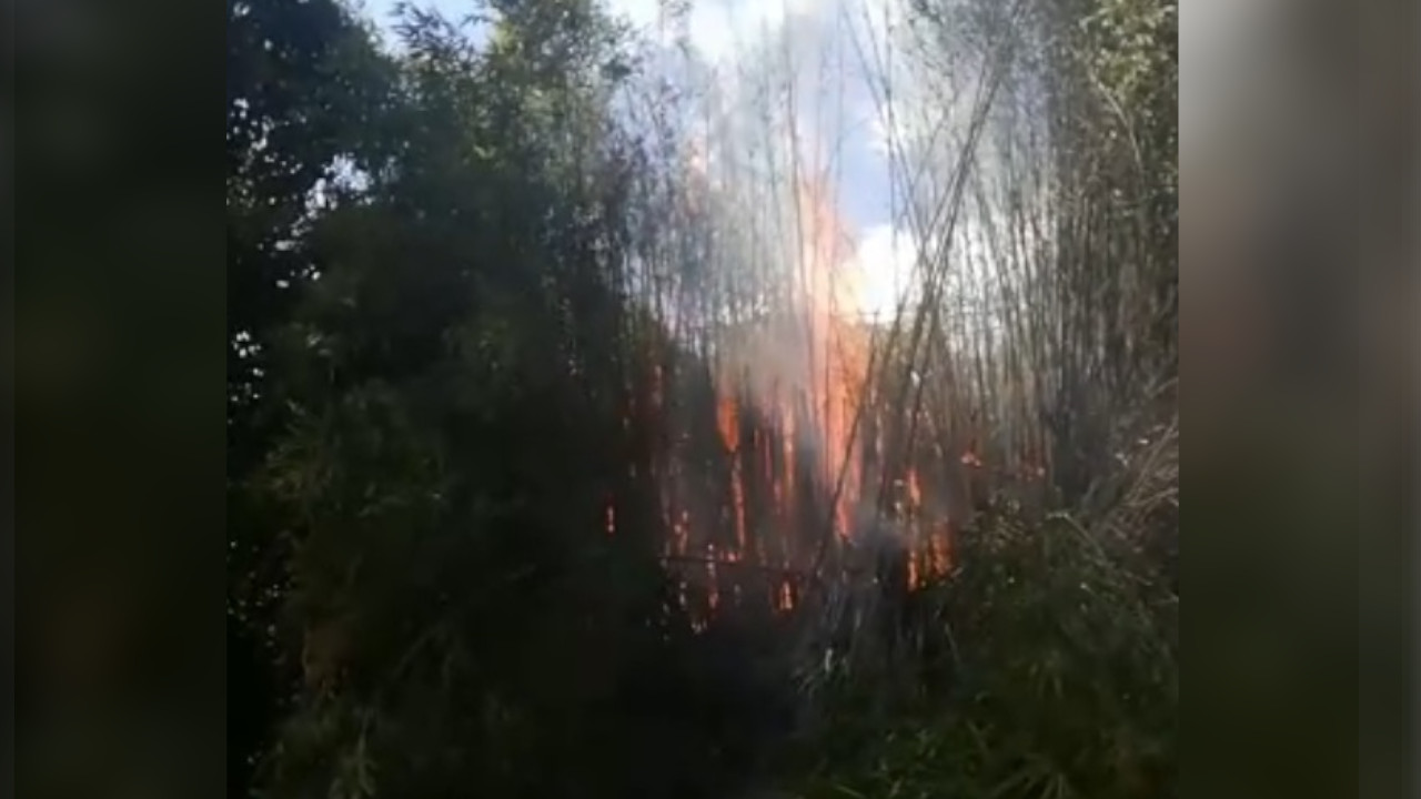 "Ya estoy mareada", ciudadana en Robledo La Campiña que pide ayuda, hay un voraz incendio