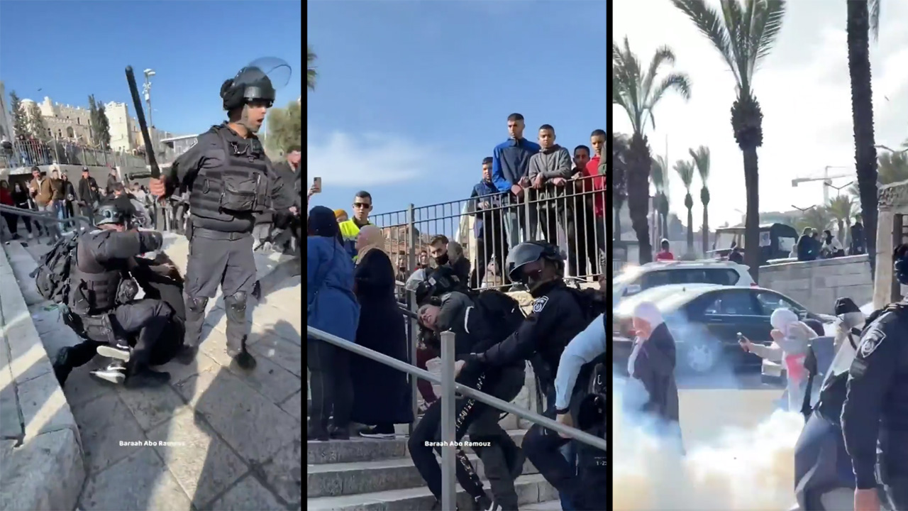 niña palestina agredida