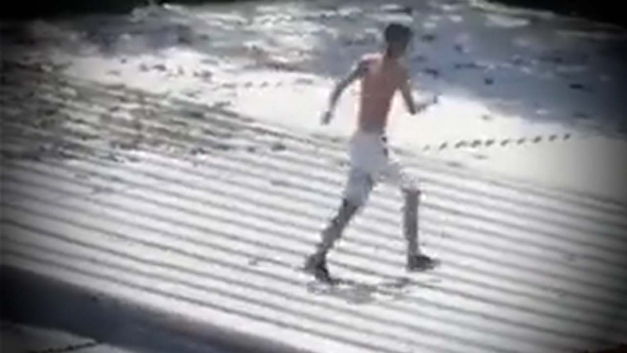 presunto ladrón muerto