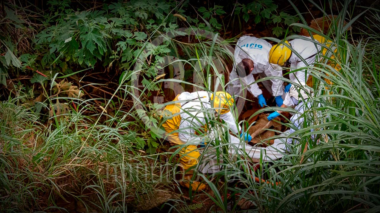 Encontraron un encostalado en la autopista Medellín-Bogotá
