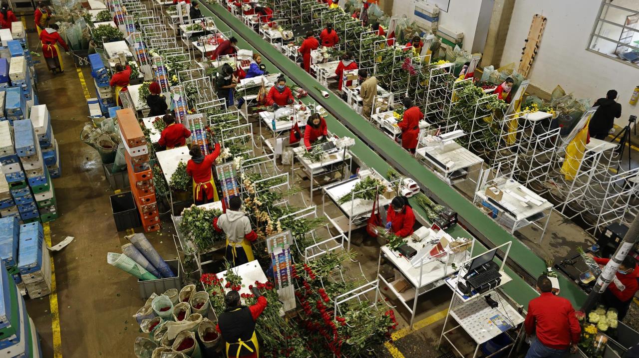 flores colombia san valentin