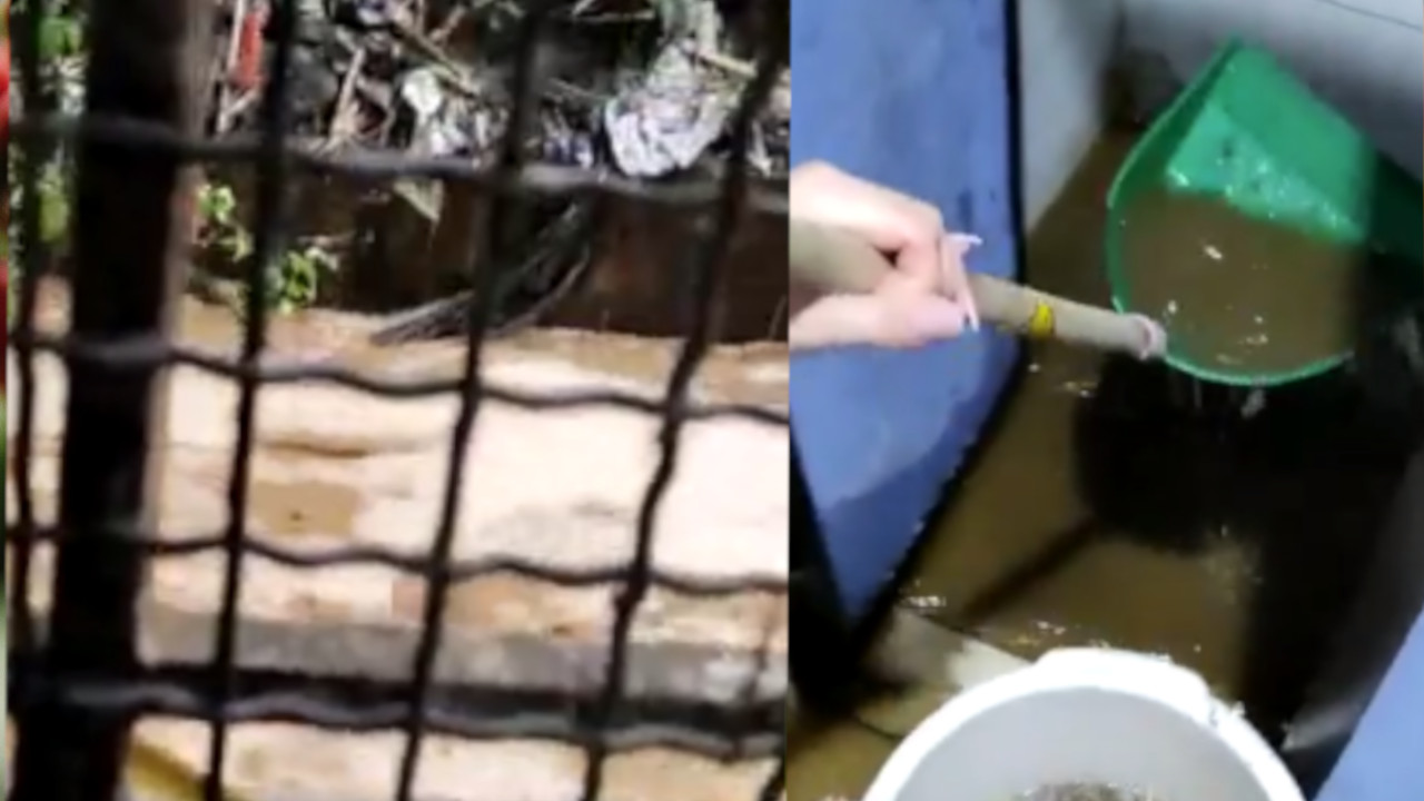 quebrada denuncia ciudadana