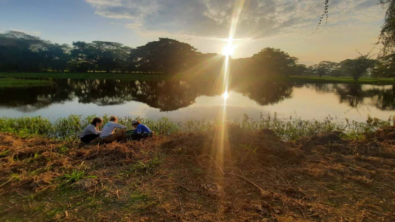animales silvestres liberados en Magdalena Medio antioqueño