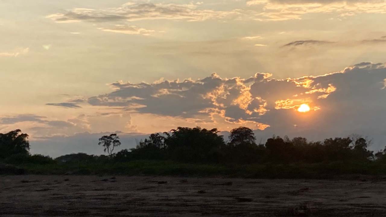 animales silvestres liberados en Magdalena Medio antioqueño