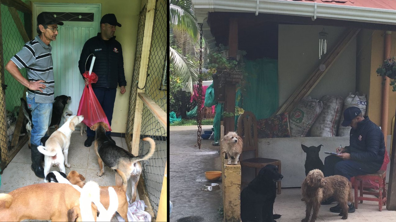 Ana y los más de 170 animalitos que están a su cargo tienen un mes de plazo para buscar un nuevo hogar