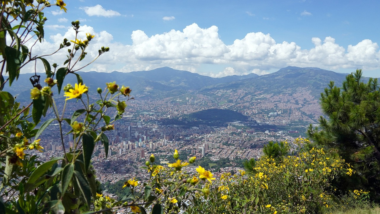 Medellín recibe reconocimiento internacional por acciones para enfrentar el cambio climático