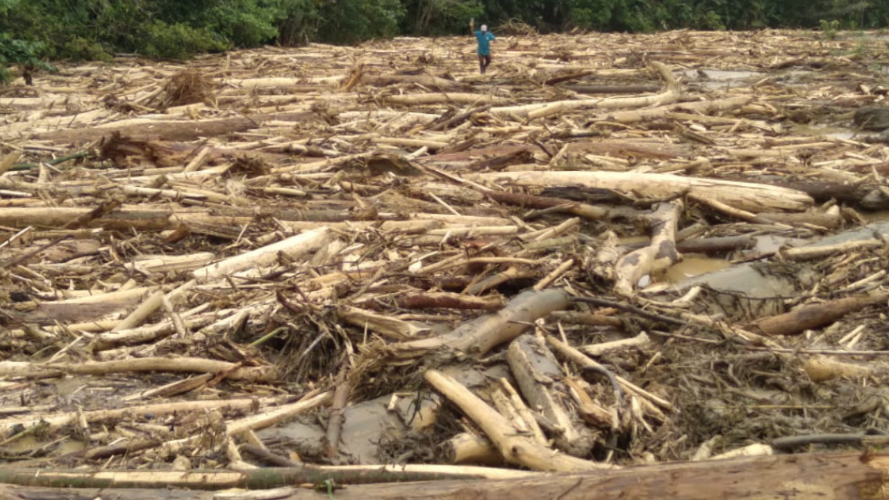 Son 310 familias indígenas las que están incomunicadas por empalizada que obstruye el paso por el Río Murindó