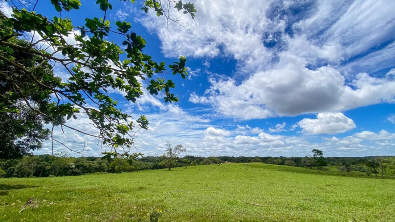 Firma de acuerdo con Fedegan se aplaza, pero sigue firma