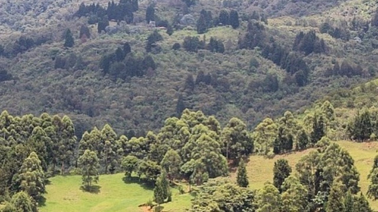 Al menos 13 personas fueron asaltadas dentro de los predios de reserva natural en Sabaneta