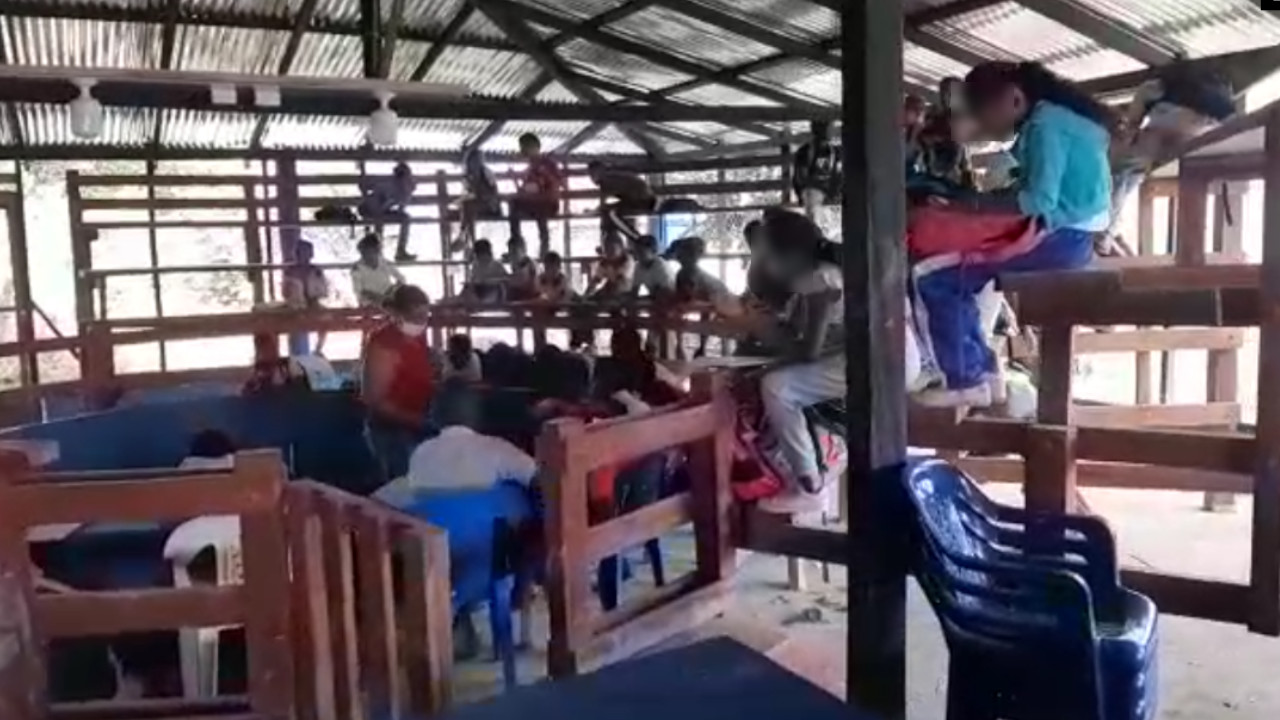 [Video] Como pollos ¡literal! así tienen que recibir sus clases un grupo de niños en el Chocó