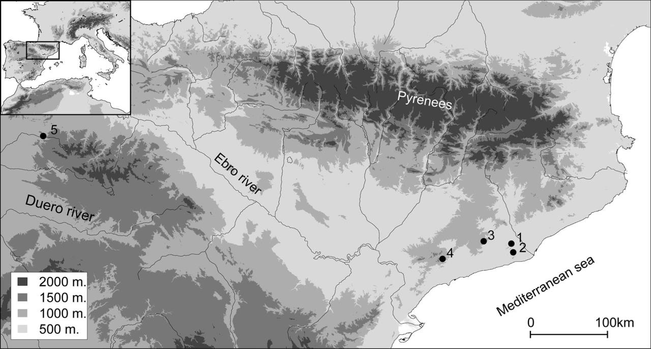 Las poblaciones humanas de la prehistoria reciente, estaban muy emparentadas 2 parentesco prehistoria2