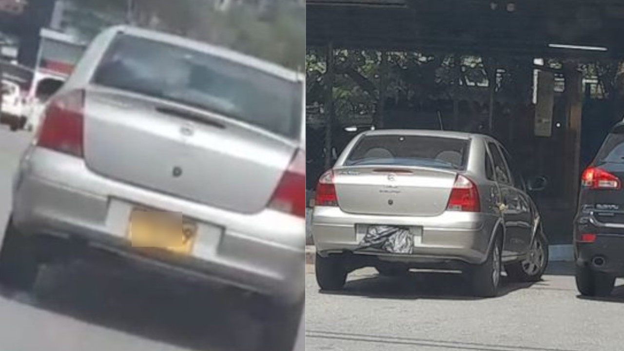 pico y placa denuncia ciudadana