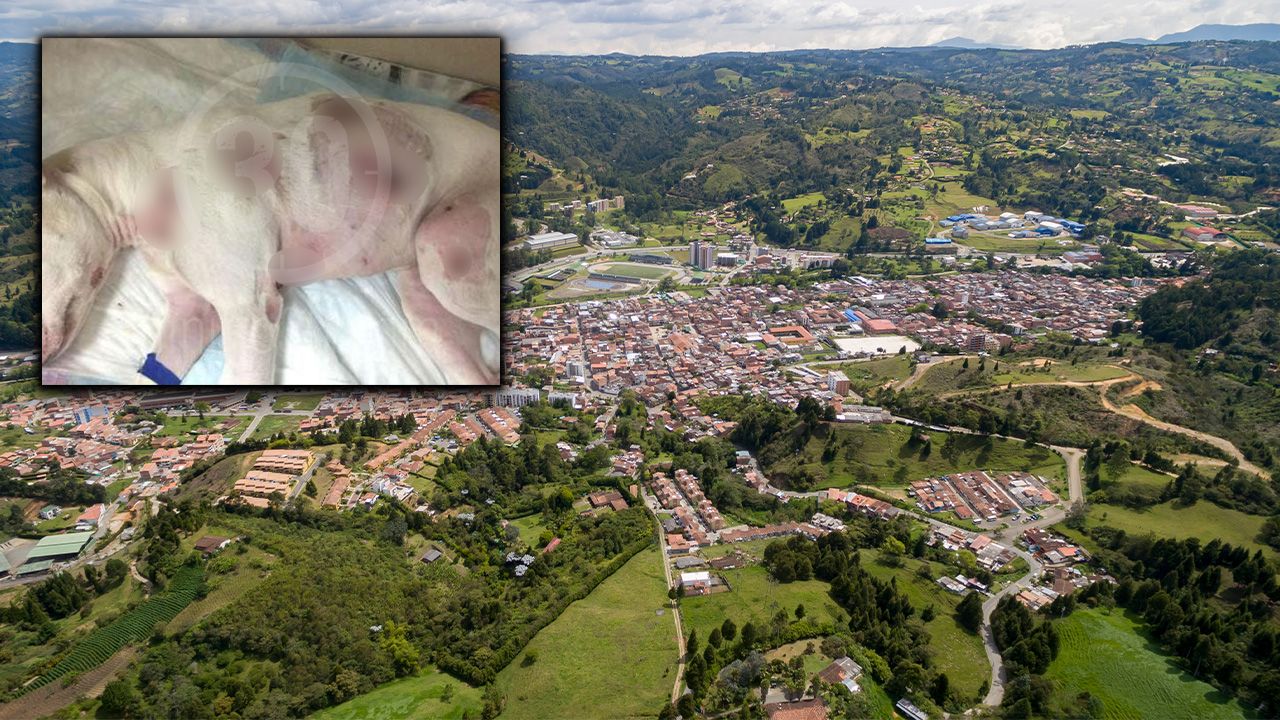 Apareció muerto el hombre al que habrían denunciado por apuñalar a un perrito en Guarne