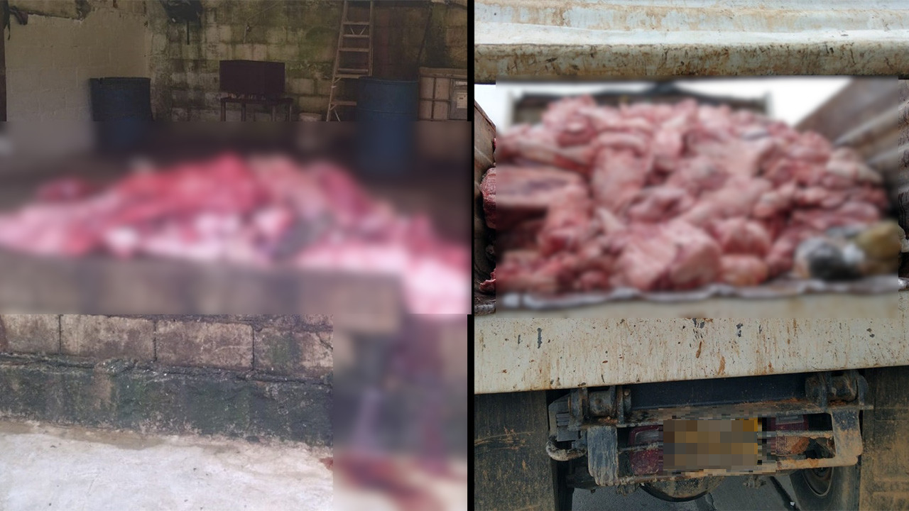 ¡Gas, qué asco! Así transportaban la carne que pretendían vender en Donmatías, Antioquia