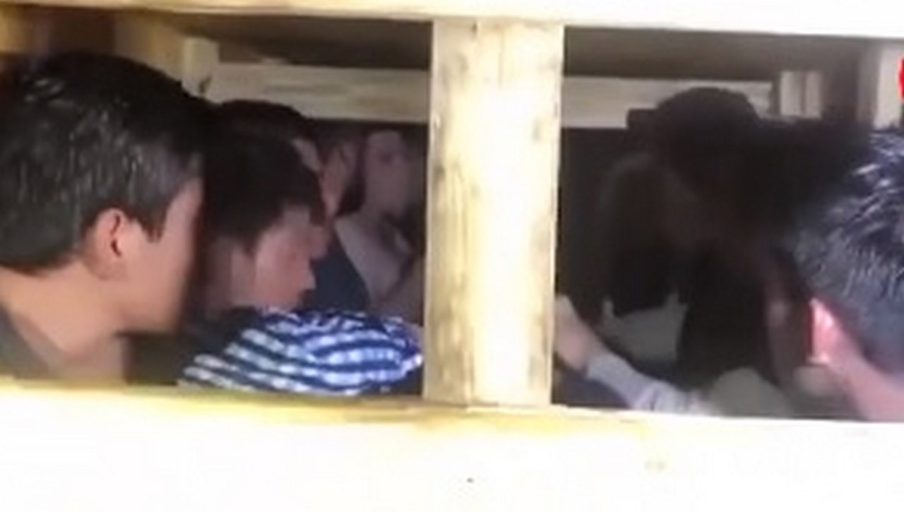 Escondidos en una caja de madera encontraron a 21 migrantes
