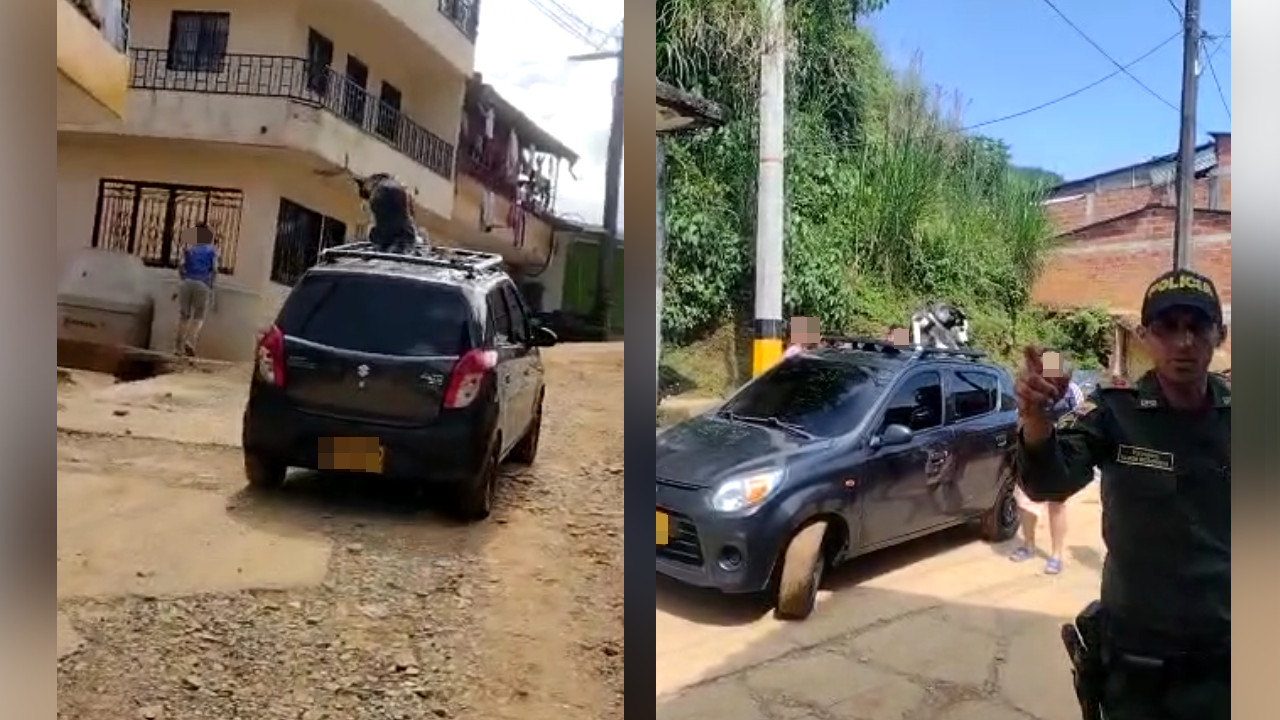 [Video] Despiadados transportaban a un perrito amarrado en el techo de un carro