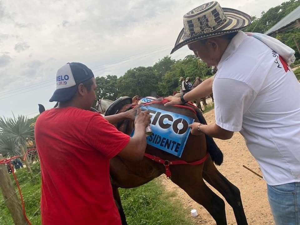 ¡El colmo! Marcan caballos con la palabra 'Fico' para hacerle campaña al candidato presidencial 2 caballos-fico