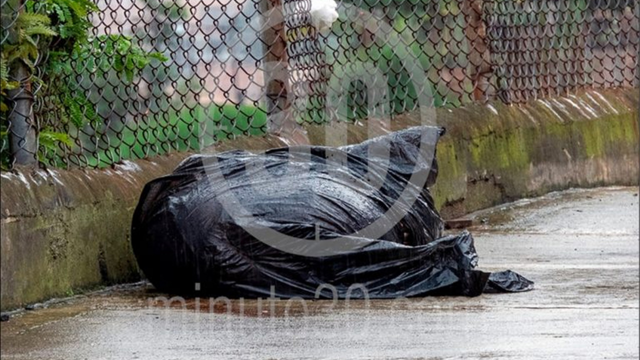 cuerpos encontrados en Bogotá