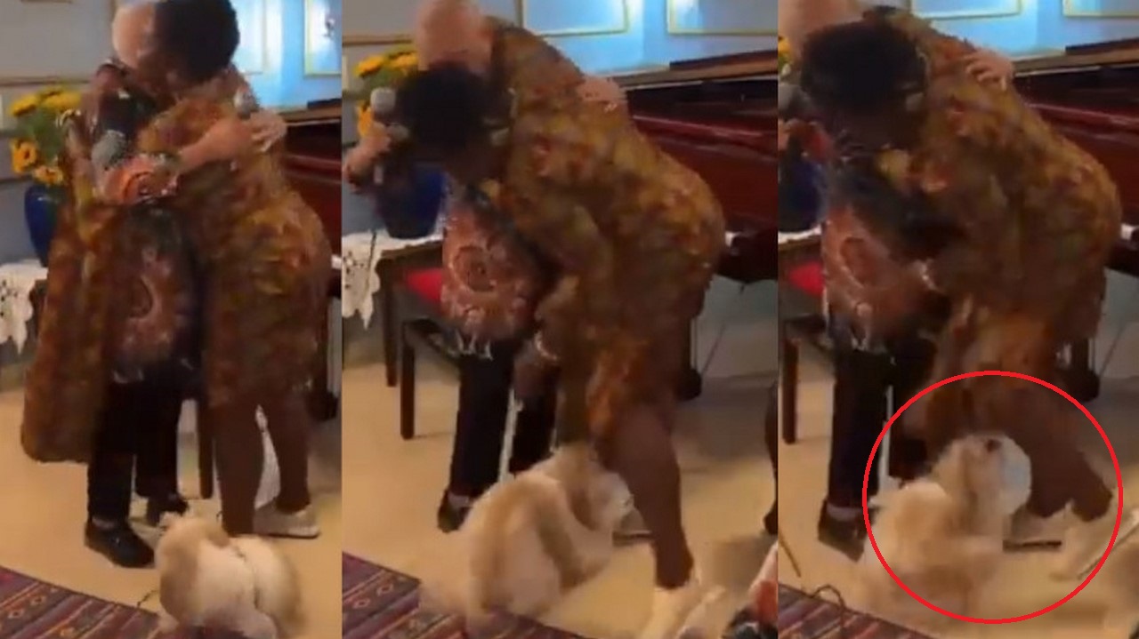 A Francia Márquez la atacó un perro en Medellín